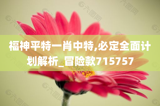 福神平特一肖中特,必定全面计划解析_冒险款715757