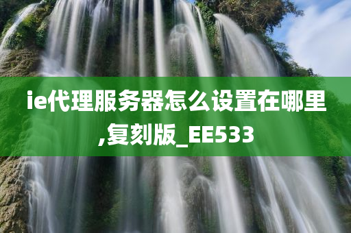 ie代理服务器怎么设置在哪里,复刻版_EE533