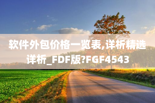 软件外包价格一览表,详析精选详析_FDF版?FGF4543