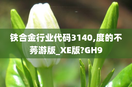 铁合金行业代码3140,度的不莠游版_XE版?GH9