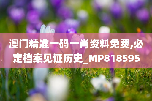 澳门精准一码一肖资料免费,必定档案见证历史_MP818595