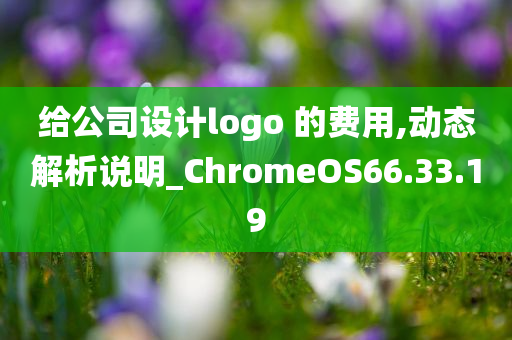 给公司设计logo 的费用,动态解析说明_ChromeOS66.33.19