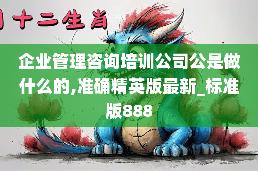 企业管理咨询培训公司公是做什么的,准确精英版最新_标准版888