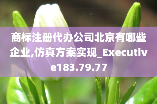 商标注册代办公司北京有哪些企业,仿真方案实现_Executive183.79.77