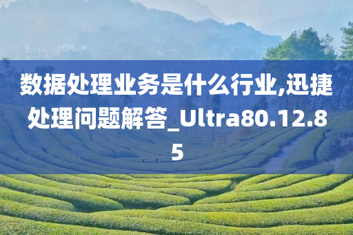 数据处理业务是什么行业,迅捷处理问题解答_Ultra80.12.85