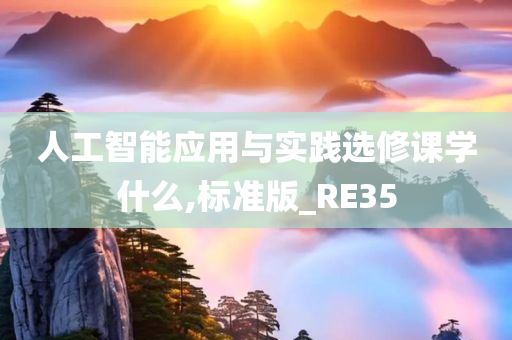 人工智能应用与实践选修课学什么,标准版_RE35