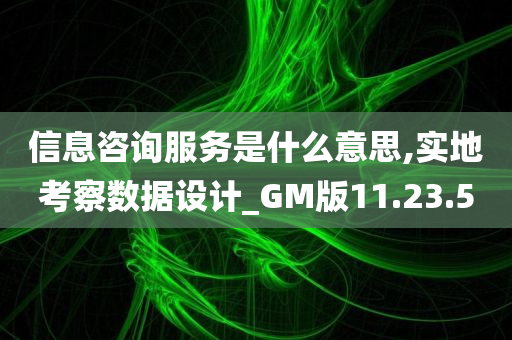 信息咨询服务是什么意思,实地考察数据设计_GM版11.23.50