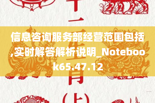 信息咨询服务部经营范围包括,实时解答解析说明_Notebook65.47.12