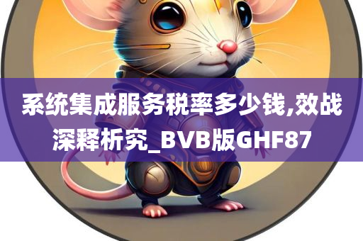 系统集成服务税率多少钱,效战深释析究_BVB版GHF87