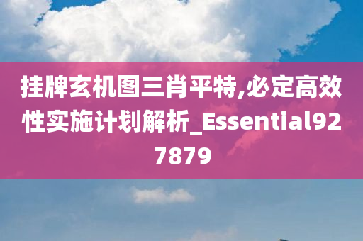 挂牌玄机图三肖平特,必定高效性实施计划解析_Essential927879