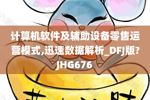 计算机软件及辅助设备零售运营模式,迅速数据解析_DFJ版?JHG676