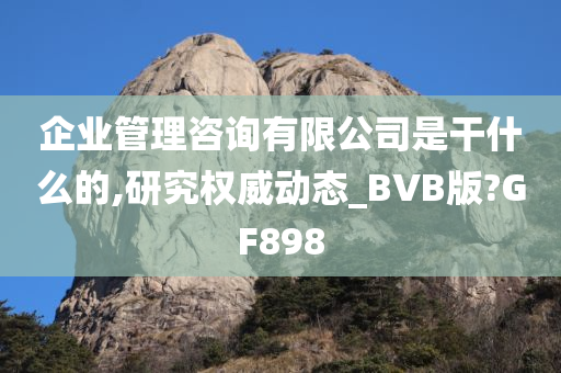 企业管理咨询有限公司是干什么的,研究权威动态_BVB版?GF898