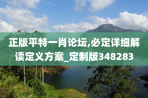 正版平特一肖论坛,必定详细解读定义方案_定制版348283