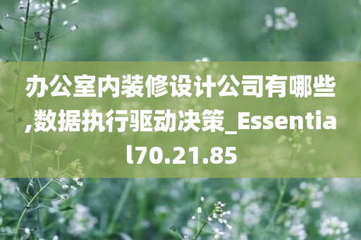 办公室内装修设计公司有哪些,数据执行驱动决策_Essential70.21.85