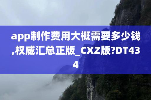 app制作费用大概需要多少钱,权威汇总正版_CXZ版?DT434