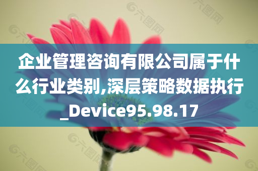 企业管理咨询有限公司属于什么行业类别,深层策略数据执行_Device95.98.17