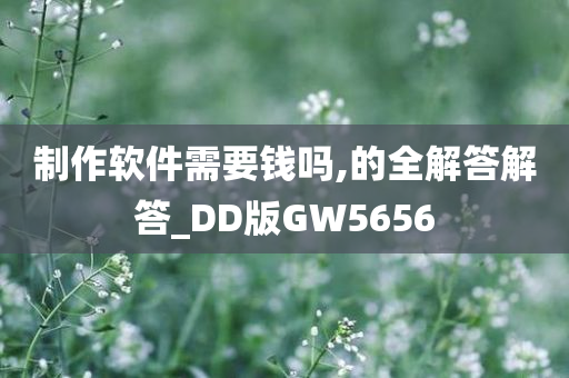 制作软件需要钱吗,的全解答解答_DD版GW5656