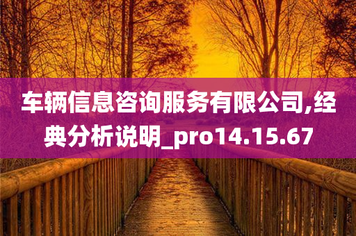 车辆信息咨询服务有限公司,经典分析说明_pro14.15.67