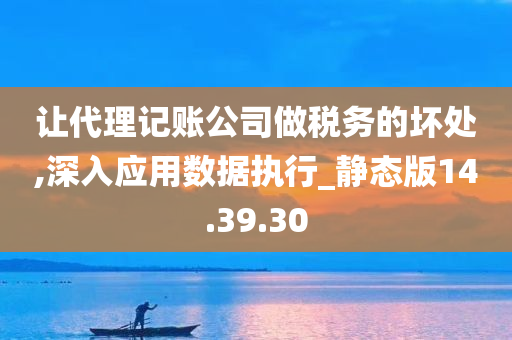 让代理记账公司做税务的坏处,深入应用数据执行_静态版14.39.30