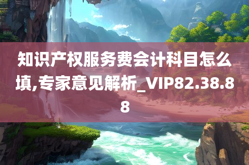 知识产权服务费会计科目怎么填,专家意见解析_VIP82.38.88