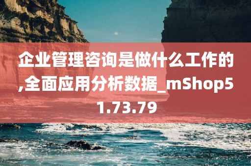 企业管理咨询是做什么工作的,全面应用分析数据_mShop51.73.79