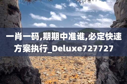 一肖一码,期期中准谁,必定快速方案执行_Deluxe727727