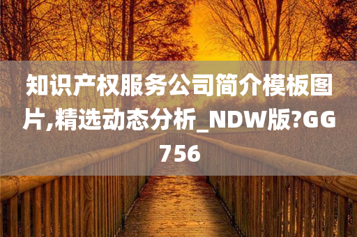 知识产权服务公司简介模板图片,精选动态分析_NDW版?GG756