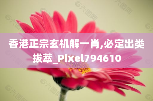 香港正宗玄机解一肖,必定出类拔萃_Pixel794610