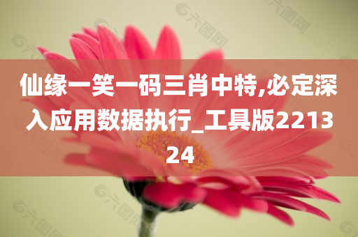 仙缘一笑一码三肖中特,必定深入应用数据执行_工具版221324