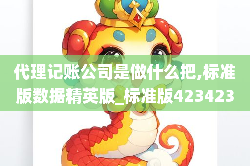 代理记账公司是做什么把,标准版数据精英版_标准版423423