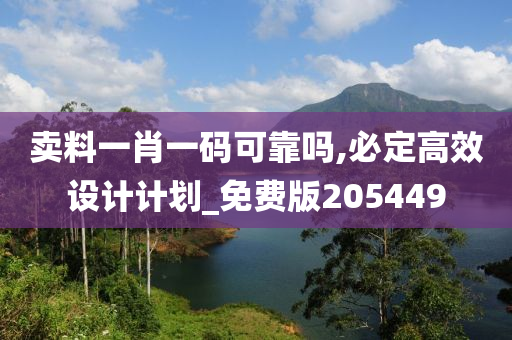 卖料一肖一码可靠吗,必定高效设计计划_免费版205449