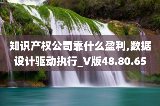 知识产权公司靠什么盈利,数据设计驱动执行_V版48.80.65