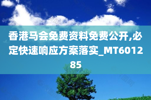 香港马会免费资料免费公开,必定快速响应方案落实_MT601285