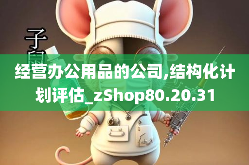 经营办公用品的公司,结构化计划评估_zShop80.20.31