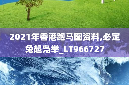 2021年香港跑马图资料,必定兔起凫举_LT966727