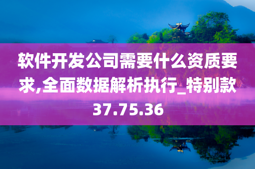 软件开发公司需要什么资质要求,全面数据解析执行_特别款37.75.36