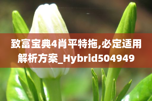 致富宝典4肖平特拖,必定适用解析方案_Hybrid504949