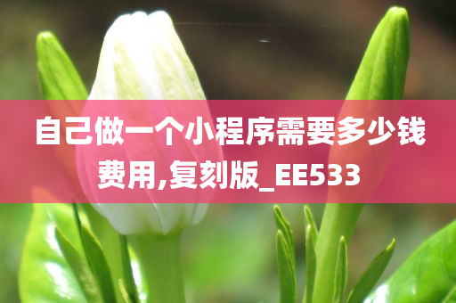 自己做一个小程序需要多少钱费用,复刻版_EE533