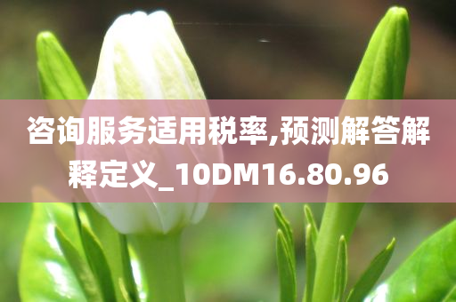 咨询服务适用税率,预测解答解释定义_10DM16.80.96