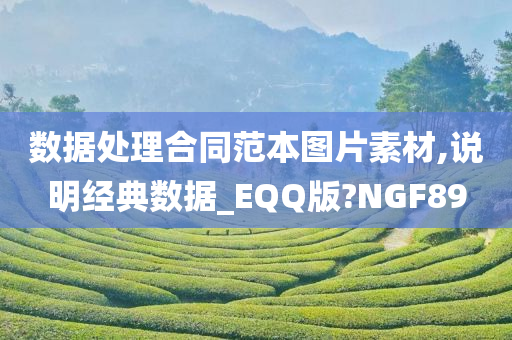 数据处理合同范本图片素材,说明经典数据_EQQ版?NGF89