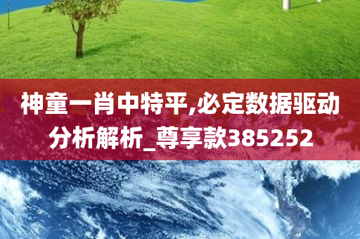 神童一肖中特平,必定数据驱动分析解析_尊享款385252