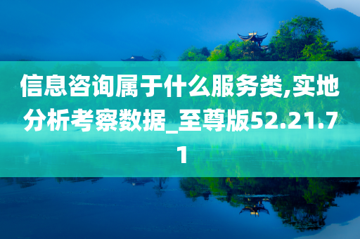 信息咨询属于什么服务类,实地分析考察数据_至尊版52.21.71