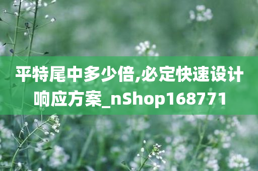 平特尾中多少倍,必定快速设计响应方案_nShop168771