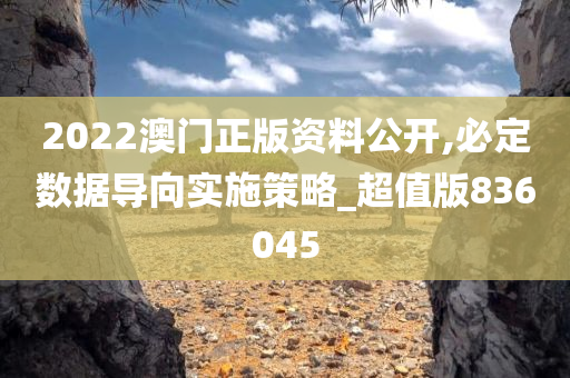 2022澳门正版资料公开,必定数据导向实施策略_超值版836045