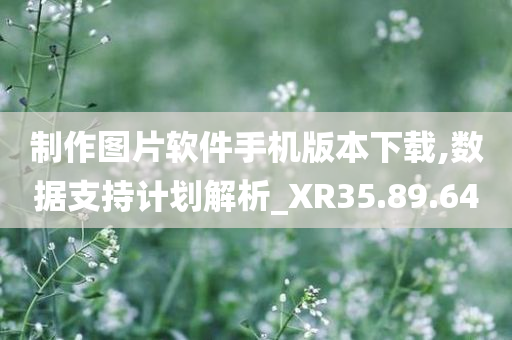 制作图片软件手机版本下载,数据支持计划解析_XR35.89.64