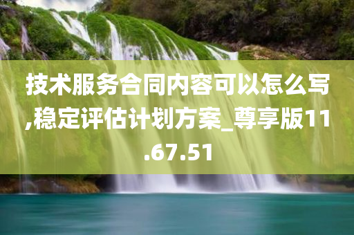 技术服务合同内容可以怎么写,稳定评估计划方案_尊享版11.67.51