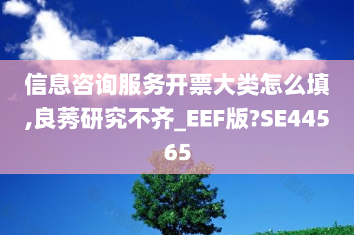 信息咨询服务开票大类怎么填,良莠研究不齐_EEF版?SE44565