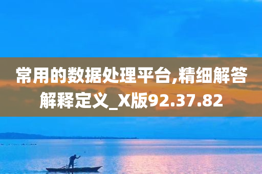 常用的数据处理平台,精细解答解释定义_X版92.37.82