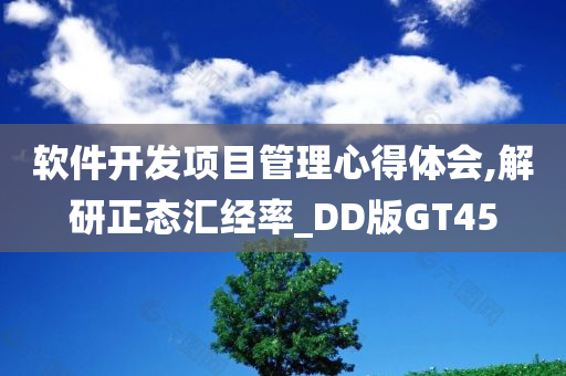 软件开发项目管理心得体会,解研正态汇经率_DD版GT45