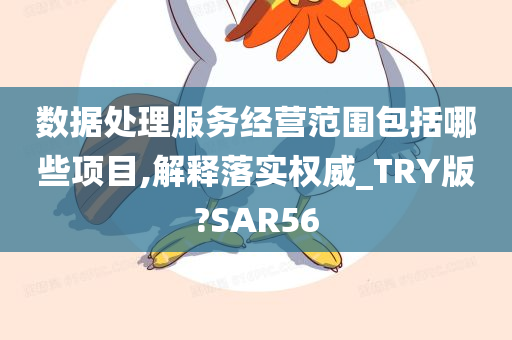 数据处理服务经营范围包括哪些项目,解释落实权威_TRY版?SAR56